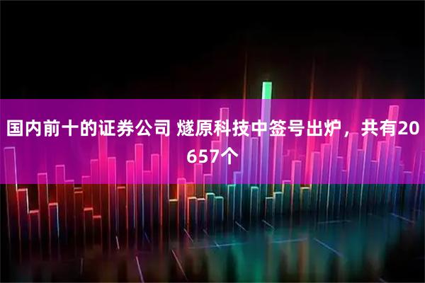 国内前十的证券公司 燧原科技中签号出炉，共有20657个